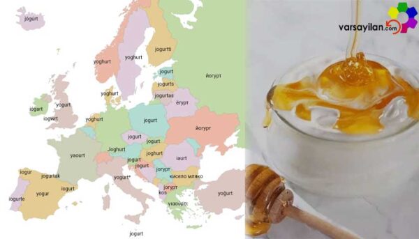 Lezzetli Bir Tarih, Besleyici Bir Gelecek: Yoğurdun Muhteşem Yolculuğu